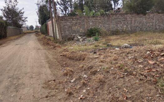 50×100 plot for Sale in Naivasha