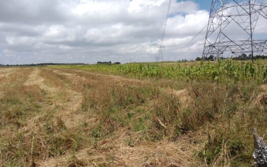 104 Acres land for Sale in Naivasha
