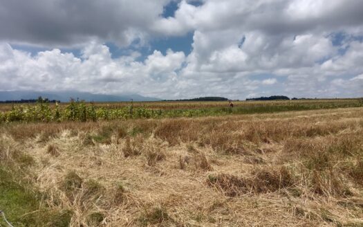 104 Acres land for Sale in Naivasha